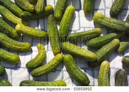 cucumbers