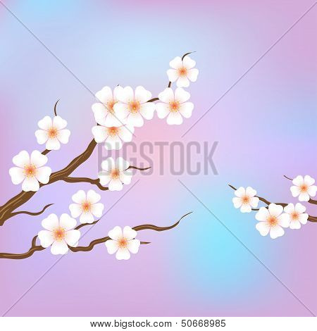 Spring Border Background With Pink Blossom