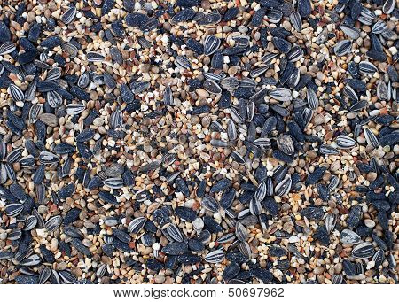 Bird Seed Background