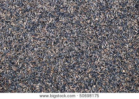 Niger Seed Background