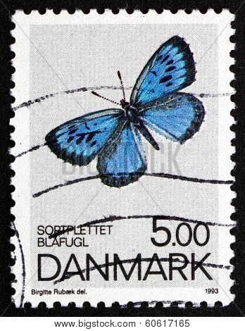 Postage Stamp Denmark 1993 Large Blue, Butterfly