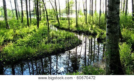 Finland in summer