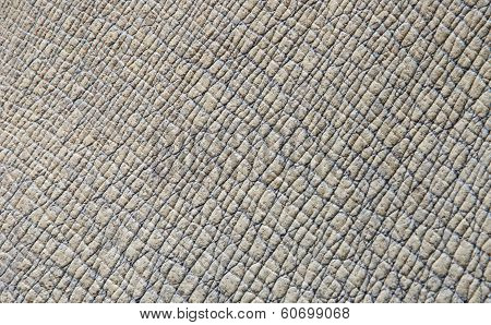 Rhino Skin Texture