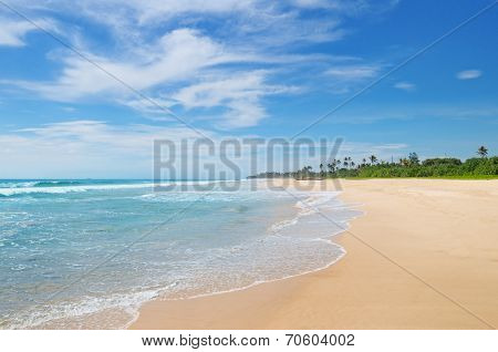 Ocean And Coconut Palms On The Shore