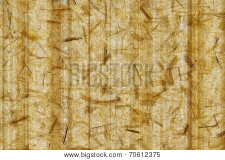 Paper Bamboo Bacground - Nature Texture Tone