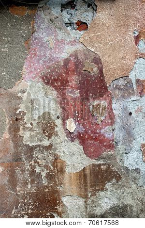 Female Portrait On A Wall
