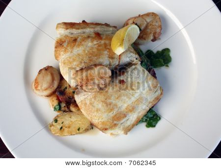 Feinschmecker Fisch-Mahlzeit