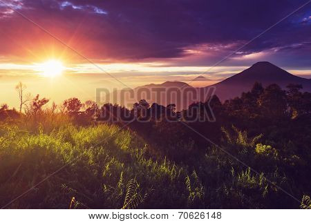 Java  landscapes