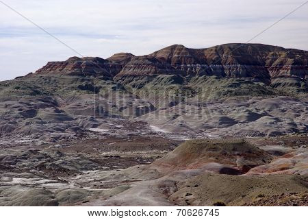 Landscape in Patagonia