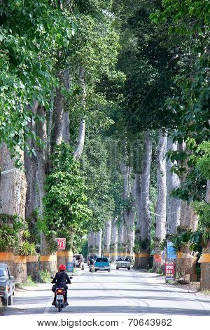 Green Road No.106