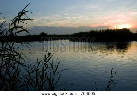 Everglades