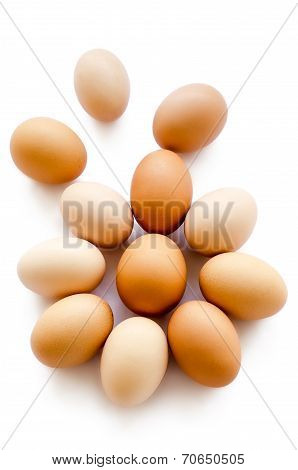 Eggs Chicken