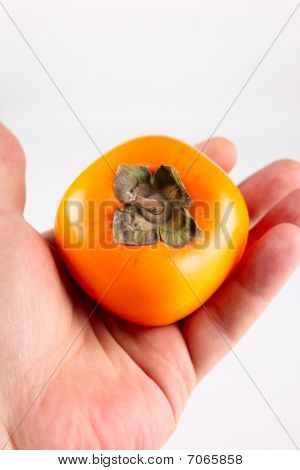 Persimmon owoc a Mans strony