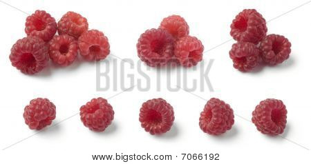 verschiedene Wilde Himbeeren
