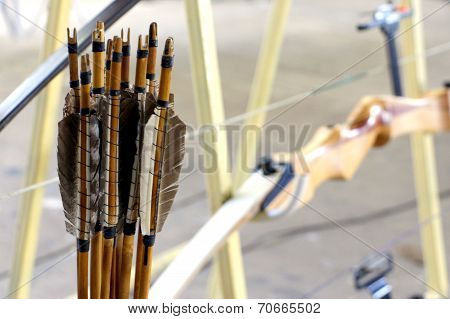 Bow and arrows