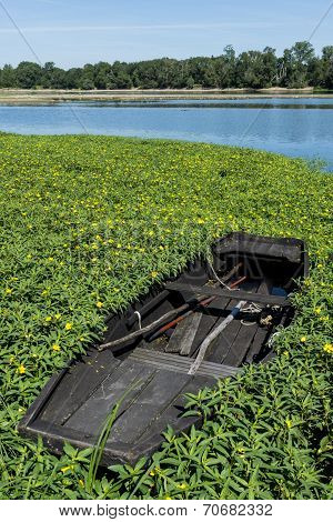 Rowing Boat in Water Plants on Loire