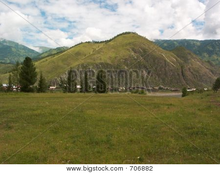 Hill Camel
