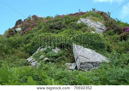 Rocky hilltop