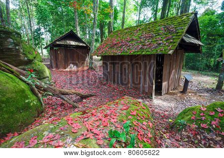 Red maple leaf with Political and Military School at Phu Hin Rong Kla National Park, Thailand