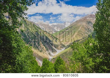 Mountains with meadows surrounded