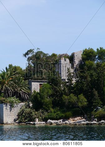 Subtropical trees around a castle