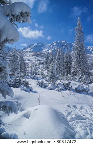Idyllic Winter