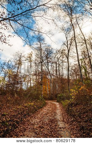 Trekking Path In The Forest