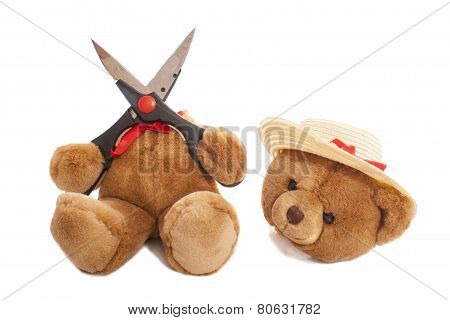 Bear Cut Head Of