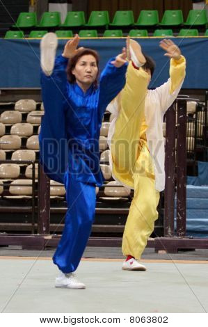 Kung Fu Heroes 2010 Italian Tour