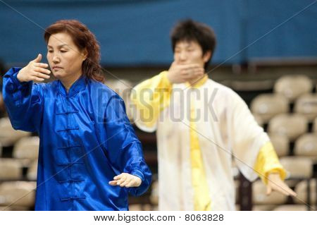 Kung Fu Heroes 2010 Italian Tour