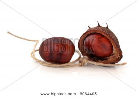 Conkers og streng
