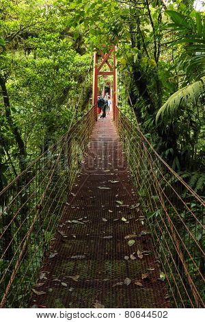 Suspension bridge, Monteverde Reserve, Costa Rica