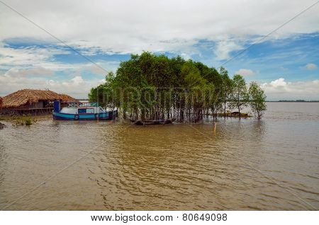 Village In Bangladesh