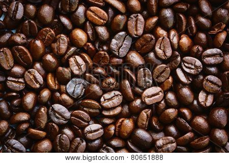 Closeup Dried Coffee Bean Background