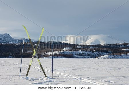 X-country Ski vintersport koncept