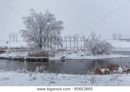 Comana Lake In Winter
