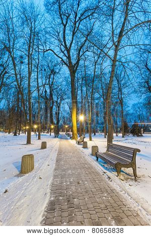 Footpath in a fabulous winter city park