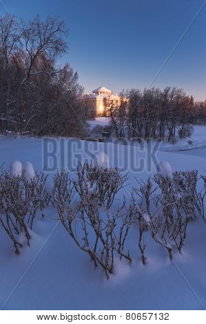 Winter Landscape