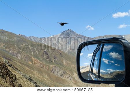 Meeting With Eagle On The Mountain Pass In The Car With Rear View Reflection