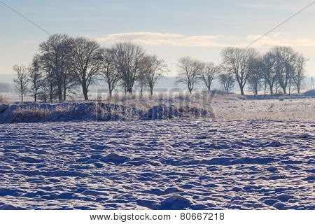 Winter Landscape View Fields Forests Covered Snow