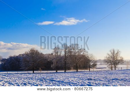 Winter Landscape View Fields Forests Covered Snow
