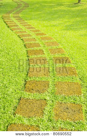 Way for pedestrians made ??of brick on the lawn.