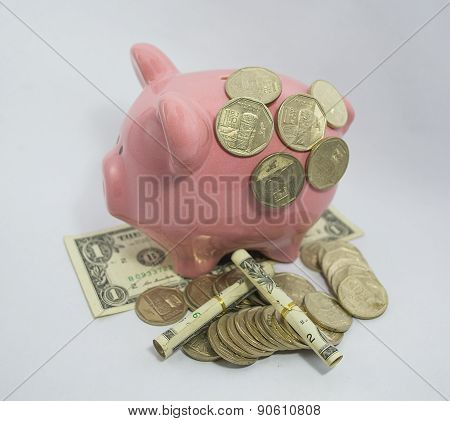 Retirees Retirement Piggy Bank Account