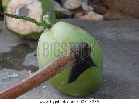 Coconut