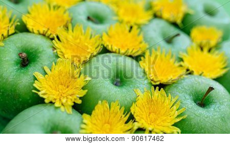 Green apple and dandelion