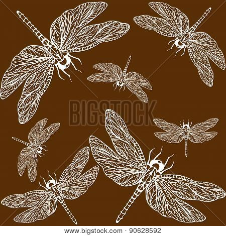 Pattern Dragonfly