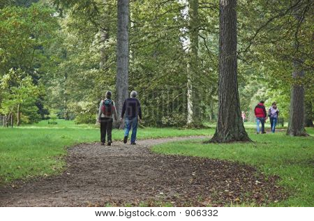 Arboreto a piedi