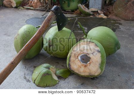 Coconut