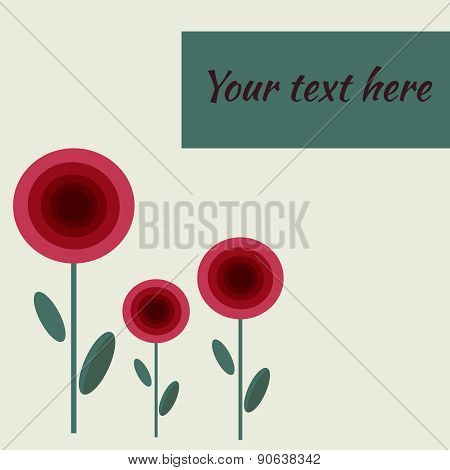 Red Poppy