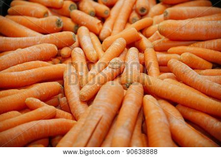 Group Of Fresh Carrots